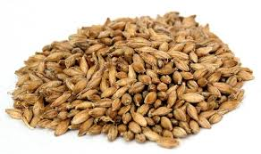 Torrefied Barley 2
