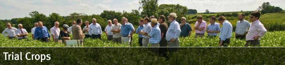 Trial Crops