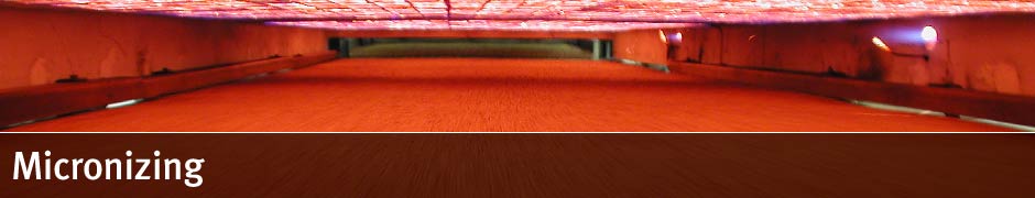 Micronizing