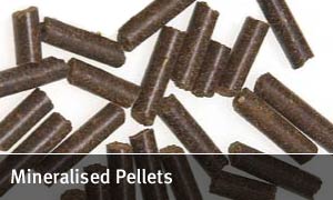 Mineralised Pellets