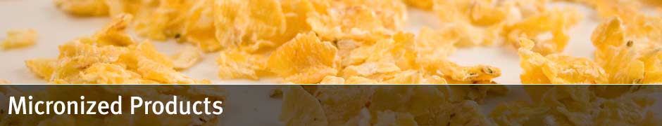 Micronized Products