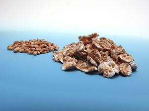 Torrefied Wheat