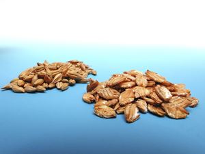 Torrefied Barley
